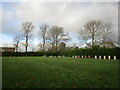 Cemetery, Burton on the Wolds