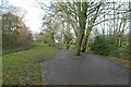 Path in Ponteland Park