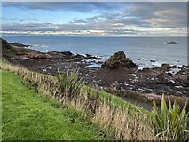 NT6779 : The Doo Rock at Dunbar on New Year’s Day by Jennifer Petrie