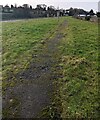 Path through grass, Buckover, South Gloucestershire