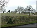 Track to Woodborough Park - Midday, New Year