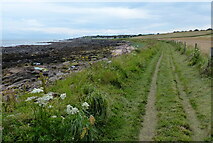NO5804 : Fife Coastal Path towards Anstruther by Mat Fascione