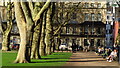 Queen Square, Bristol