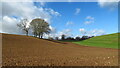 On Usk Valley Walk, minor valley, NW of Great Estavarney