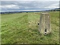 Middleham Low Moor Trig Point Flush Bracket S7586