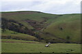 SJ9779 : Looking up the valley of Gnathole Brook, west of Charles Head by Christopher Hilton