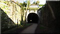 Ashbourne Tunnel at southern end of Tissington Trail