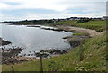 Roome Harbour at Crail