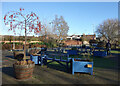 Chairs and Plants, Calne