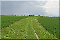 Green bridleway