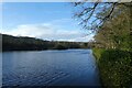 Glasshouses Mill Dam