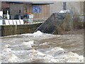 The Archimedes screw hydro generator