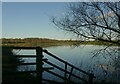 Winter sunshine on the River Trent