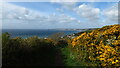 On coastal path, E of Downderry