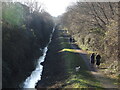 Walking the Portbury Ditch