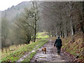 Walking the dog, Woodchester Park