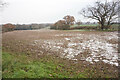 Wintry field on Withy Hill