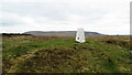 SD7637 : Trig Point on The Rough above Wiswell by Colin Park