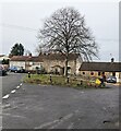 Tree on a grass triangle, Milbury Heath, South Gloucestershire