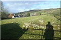 Field below the Church