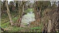 Old Shrewsbury canal