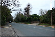 TQ6094 : Shenfield Road by David Howard