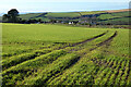 Farmland, Porthleven