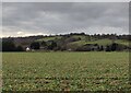 Farmland near Little Kingsford Farm