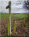 Footpath to Sheepwash Lane