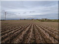 Field north of North Ings farm