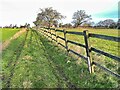 Boundary fence