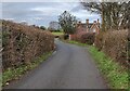 Lane approaching Brittles Cottage