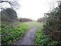 Heading out of Blythburgh into open country