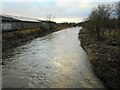 River Kelvin