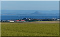 View south towards the Firth of Forth