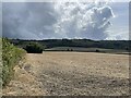 Cultivated field below Bald Hill, Lewknor