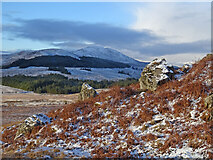 NN3682 : Looking to Creag Dhubh by Adam Ward