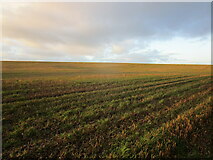 SK8011 : Stubble field near Cold Overton Grange by Jonathan Thacker