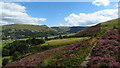 On the Oldham Way above Cowards, Greenfield