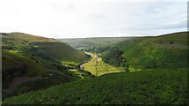 NY9000 : The R Swale valley looking S from E of Crackpot Hall by Colin Park