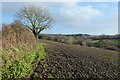 Farmland, Crowan