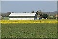 Wellhouse Lane Grain Store