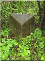 Old Milestone by A590, Causeway End