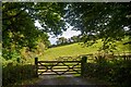 St Keverne : Grassy Field & Gate