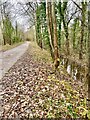 Nutbrook Canal and Trail