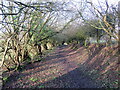 Llwybr i Drefechan / Path to Trevaughan