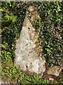 Cefn-Coch Incised Stone