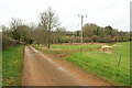 Bridleway to Cradle Farm