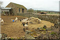 Farmyard, Cradle Barn