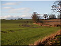 Winter cereals, Deanston